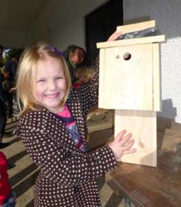 Building bird boxes