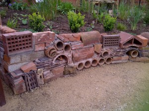 Brandon Bug Wall 2